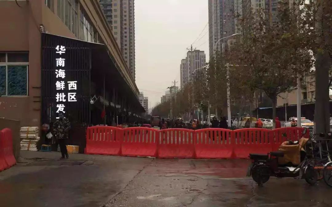 舟山蝙蝠是武汉新型冠状病毒肺炎传染源?专家回应